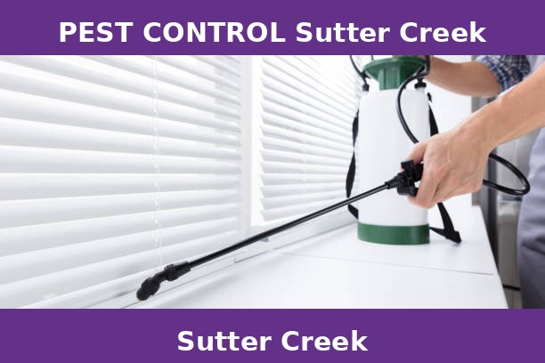 PEST CONTROL Sutter Creek